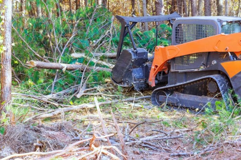 mulcher and a chipper