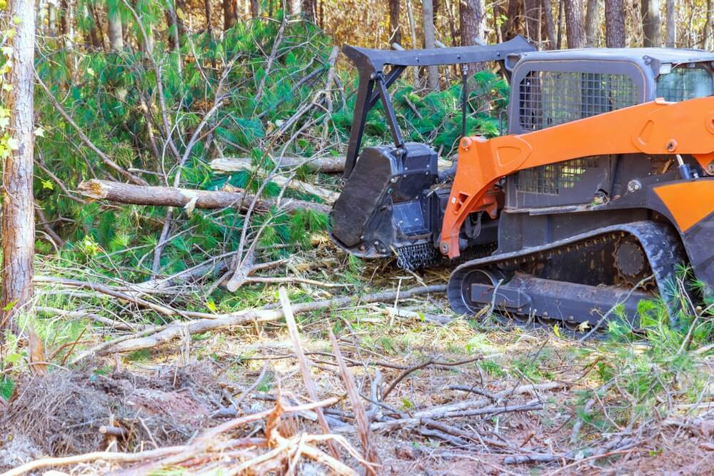 mulcher and a chipper