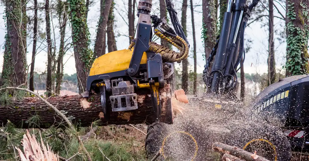 invest in the right equipment