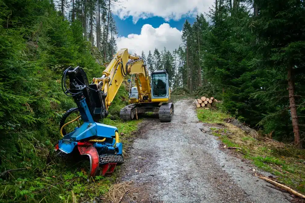 Safety standards overview